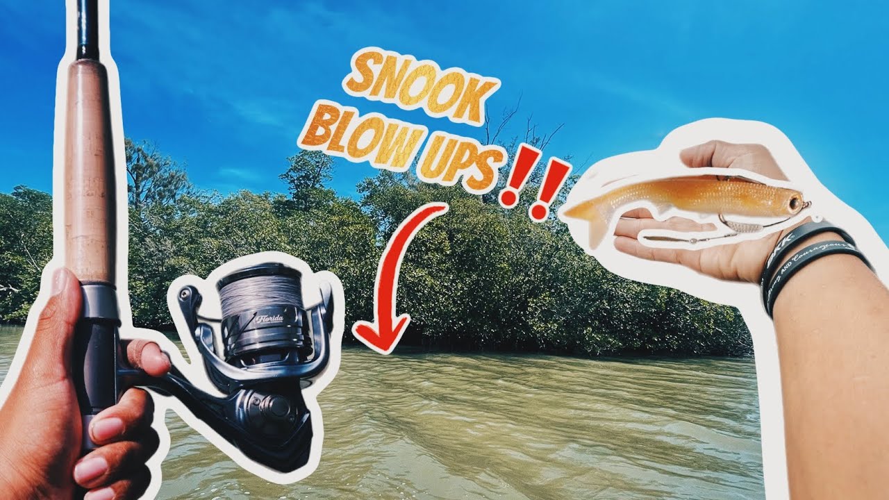 SNOOK FISHING WITH NLBN K-TAIL!