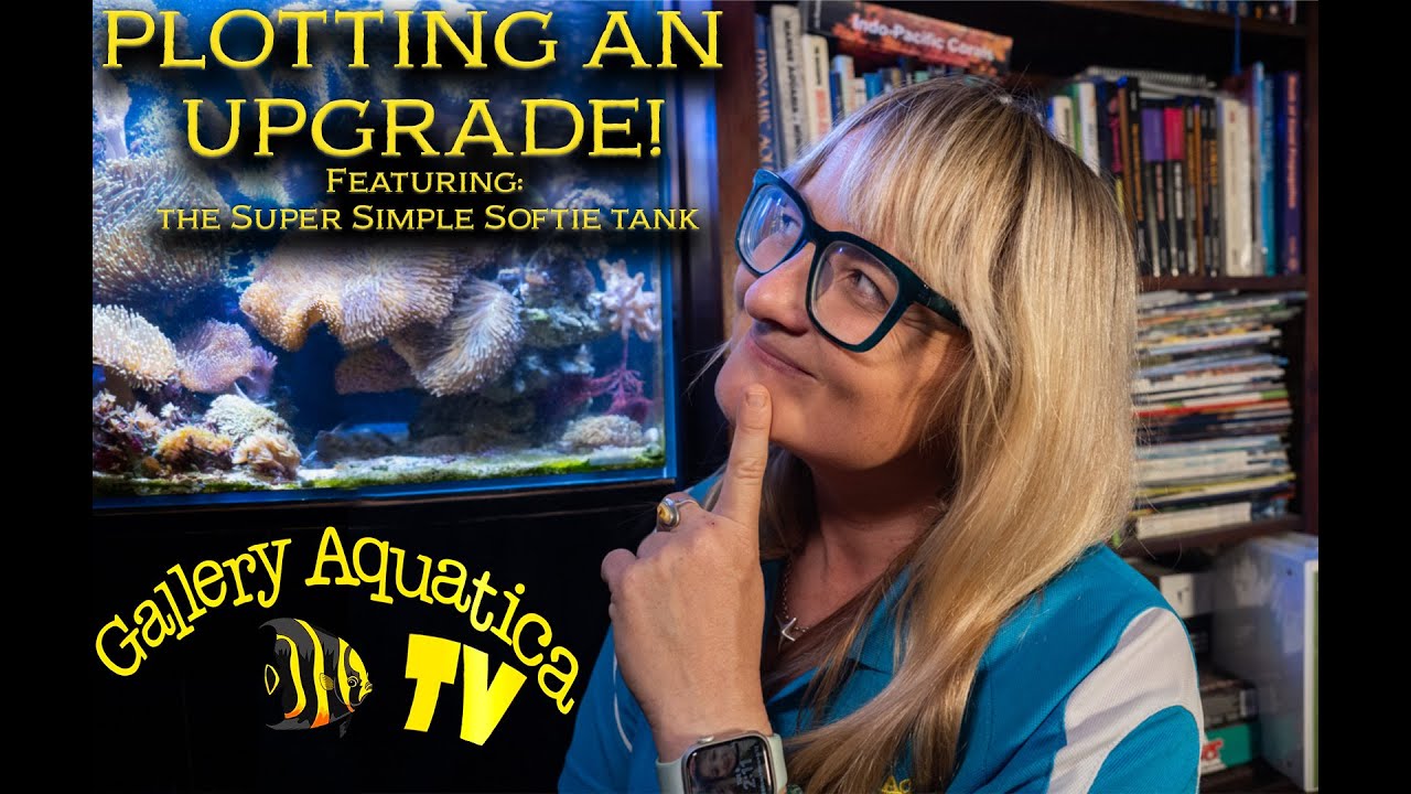 Upgrading your reef? Watch this first! (featuring Anias Super Simple Softie Setup)
