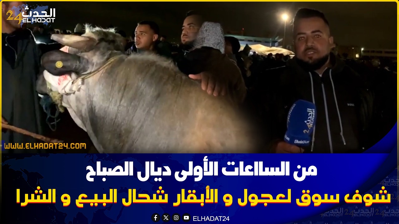 ثمن العجل في سوق الكسيبة في فاس