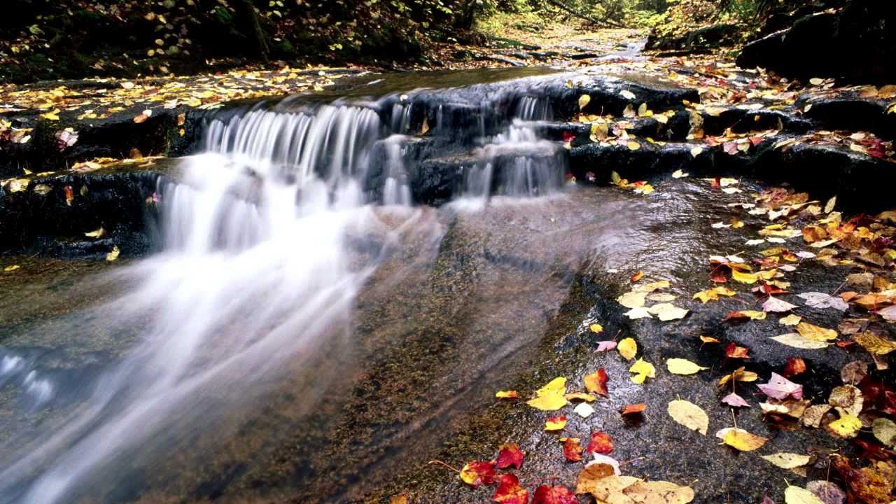 Relaxing Music Therapy Water - Energy of Nature