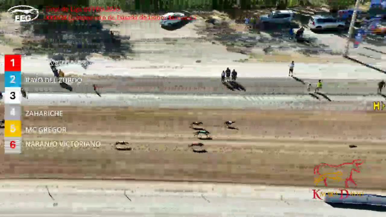 XXXVIII Cto Espa&ntilde;a liebre mecanica en directo