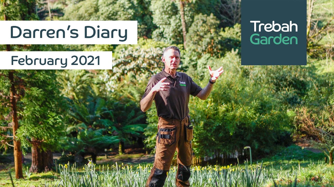 Spring Is Coming! Darren's Diary, February 2021