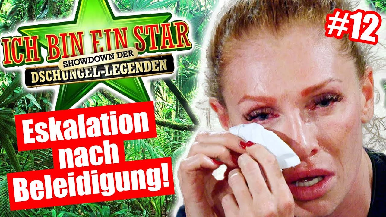 Dschungelcamp 2024: ESKALATION wegen BELEIDIGUNG!