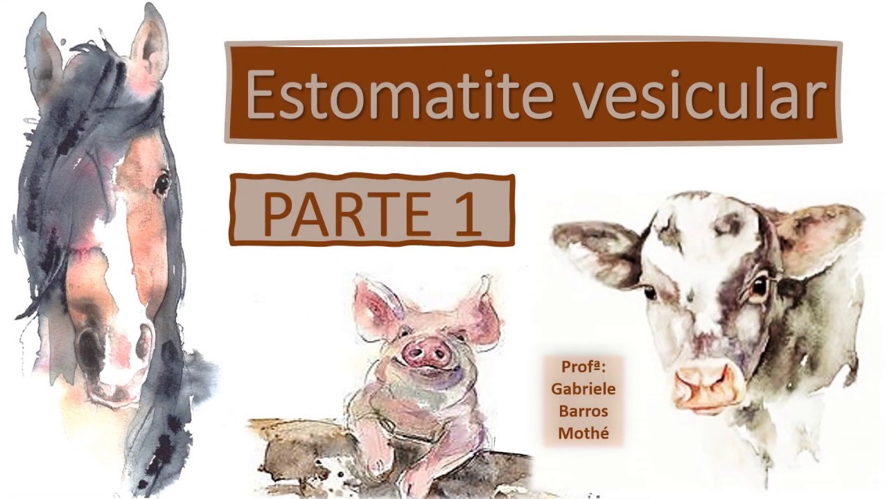 ESTOMATITE VESICULAR - parte 1 (medicina veterinária)
