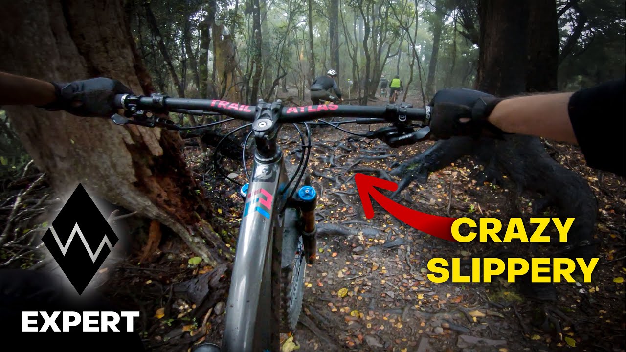 Te Ara Koa | Nelson's Longest Singletrack?