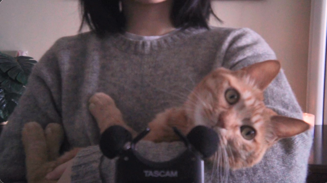 walking around ASMR 🐈 walking, whispering, and bob.