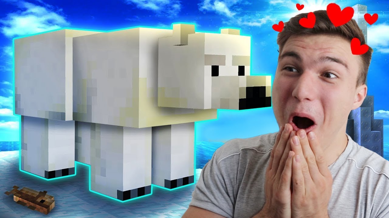 AM ADOPTAT UN URS POLAR!!!