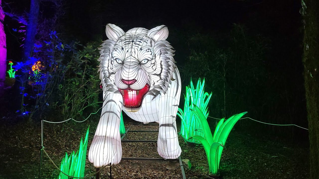 les animaux de lumière aux terres de nataé(pont scorff)
