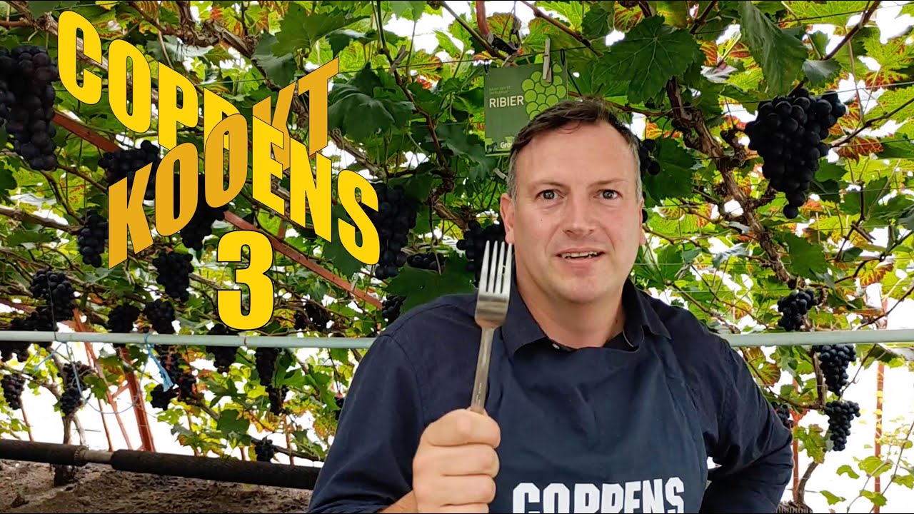 Coppens kookt - aflevering 3 ... koken met Leopold III