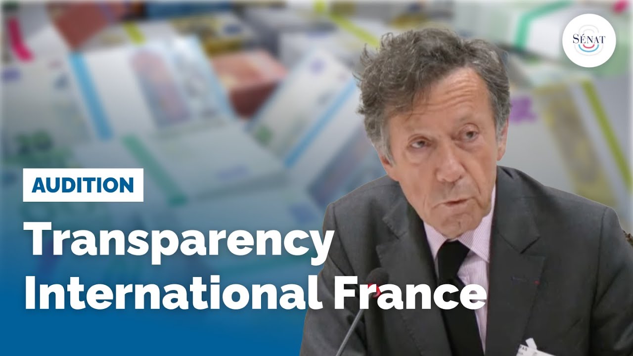 Délinquance financière : Transparency International France