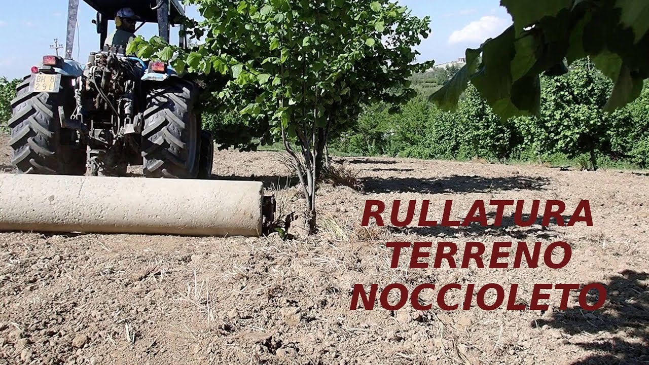 rullatura nocciole con rullo portato e trainato a spostamento idraulico auto costruito