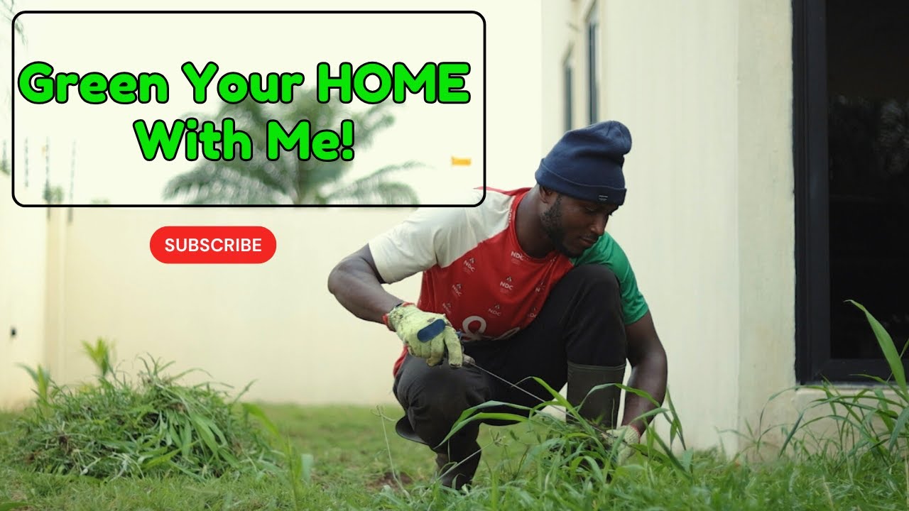Meet the Young Ghanaian Transforming Homes into Lush Green Paradises | Building In Ghana