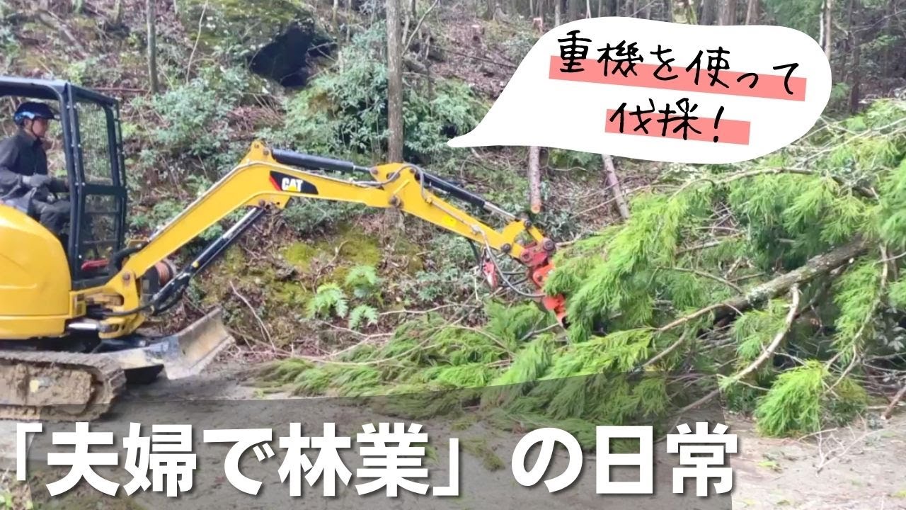 「夫婦で林業」の日常｜森づくりで大切にしていること｜重機を使った伐採【高知で林業】