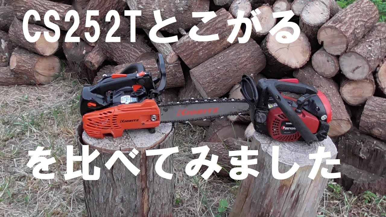 CS252Tとこがるを比べてみました