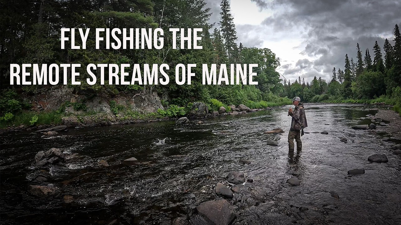 Fly Fishing The Remote Streams Of Maine