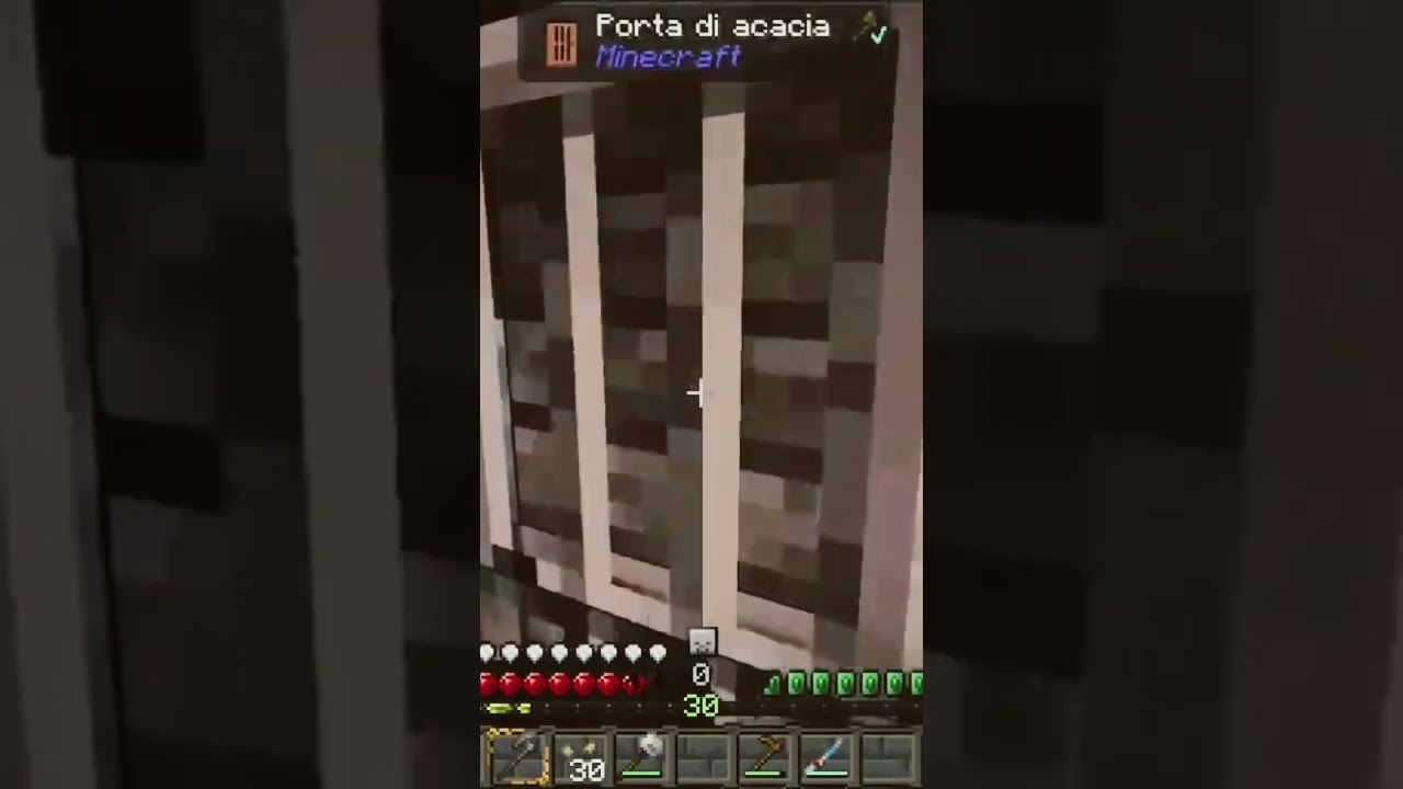 Minecraft/Tauruscraft 2- Follia pura!!