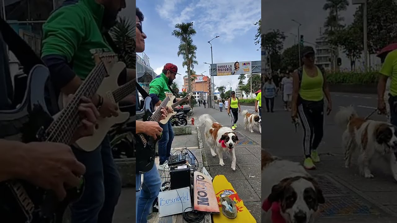 Busking Sessions – MolaTTo Duo