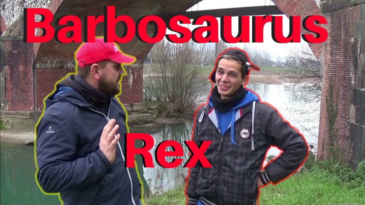 COME PESCARE BARBI E CARPE IN INVERNO IN FIUME - I.D.P. #46 - FEEDER FISHING - FIUME SERCHIO