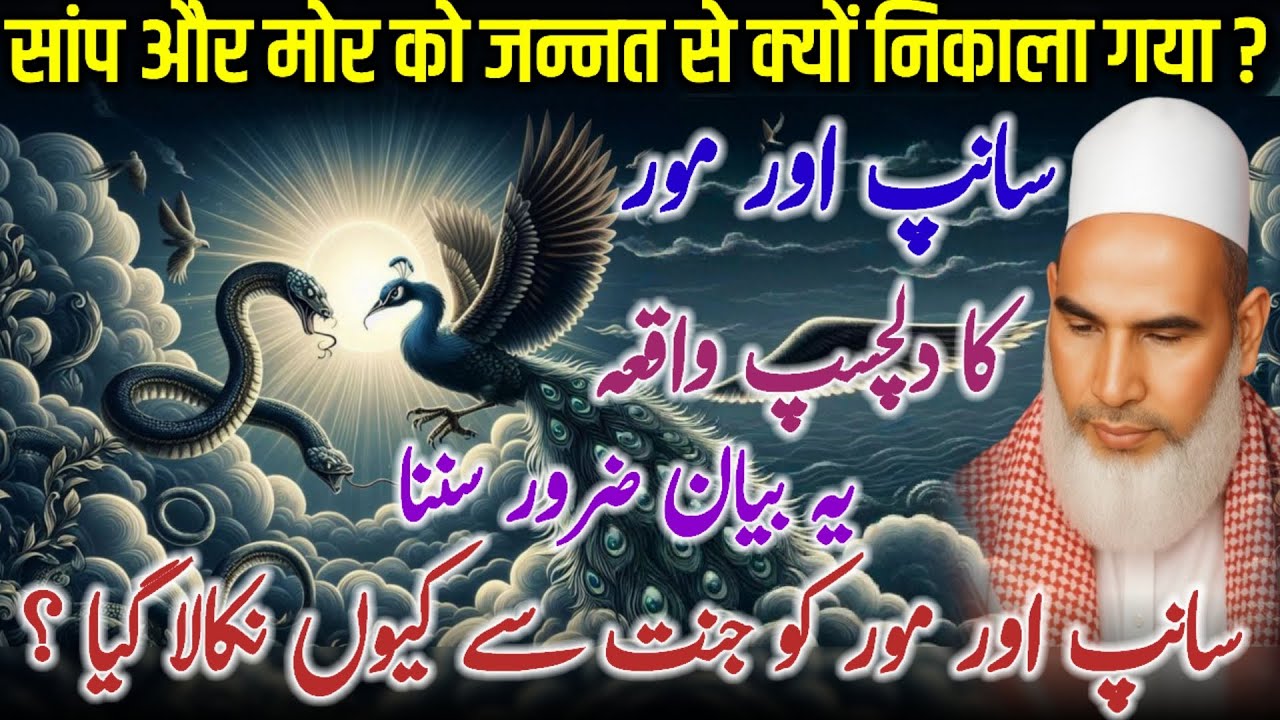 Sanp Aur Mor Ko Jannat Se Kyun Nikala Gaya | Qari Haneef Multani | MU Multani React | 11-12-2025