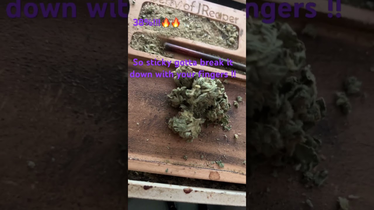 #cannabisreviews #cannabisreviewer #leominster #eleven #budtenderawards #cannabiseducation sub&share