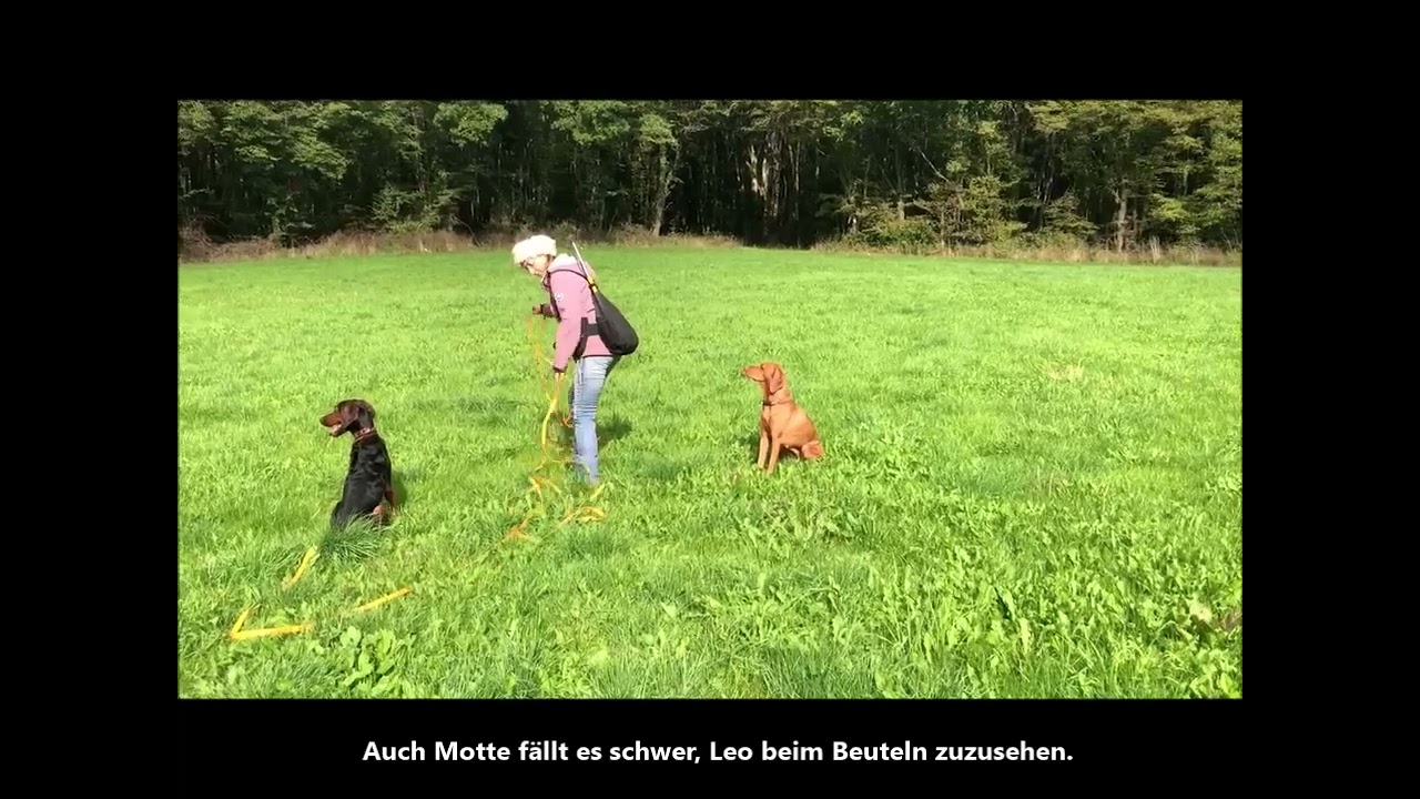 Ersatzjagd mit 2 Hunden die Erste