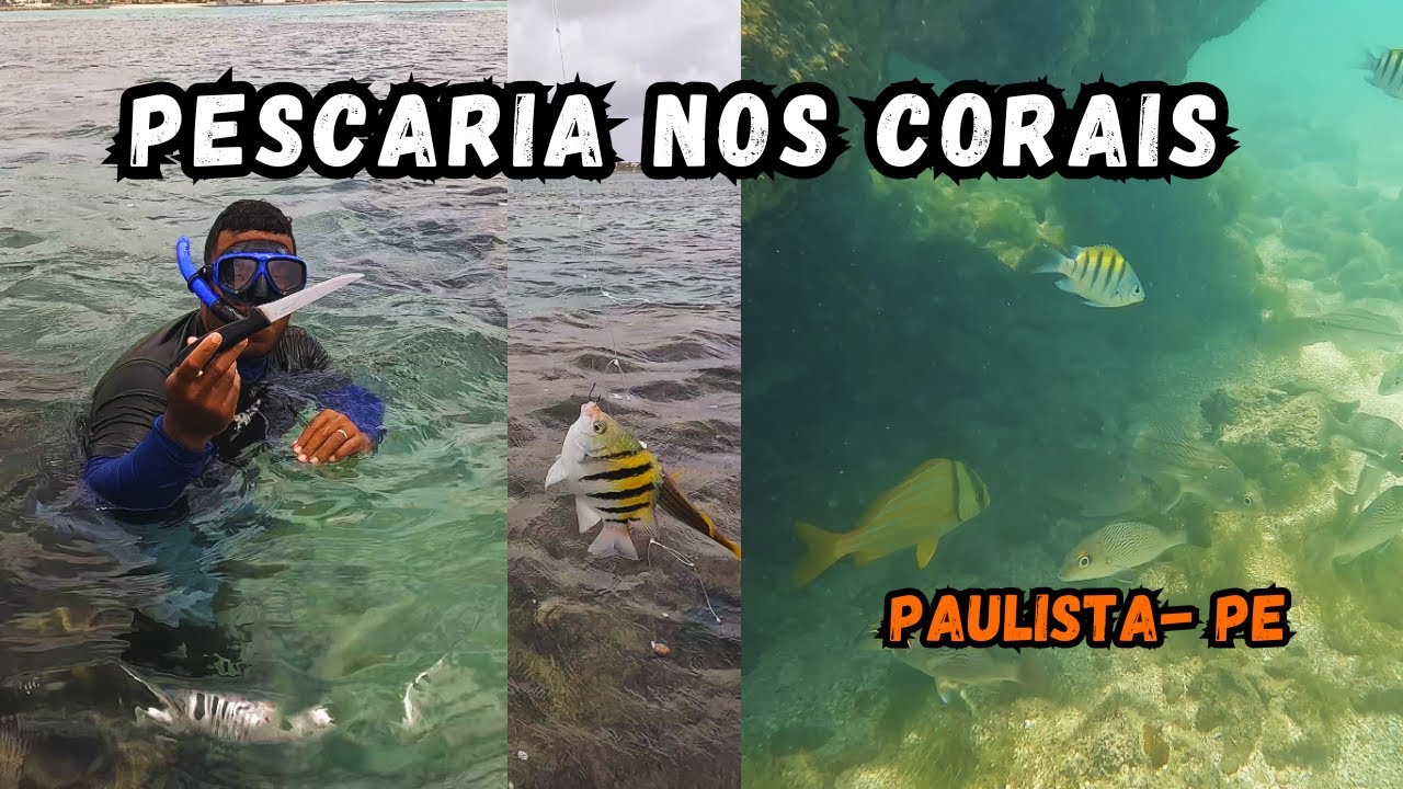Pescaria nos Corais do Janga / Pau Amarelo. Junto com Meu irmão Eduardo Araújo. Muitos Peixes