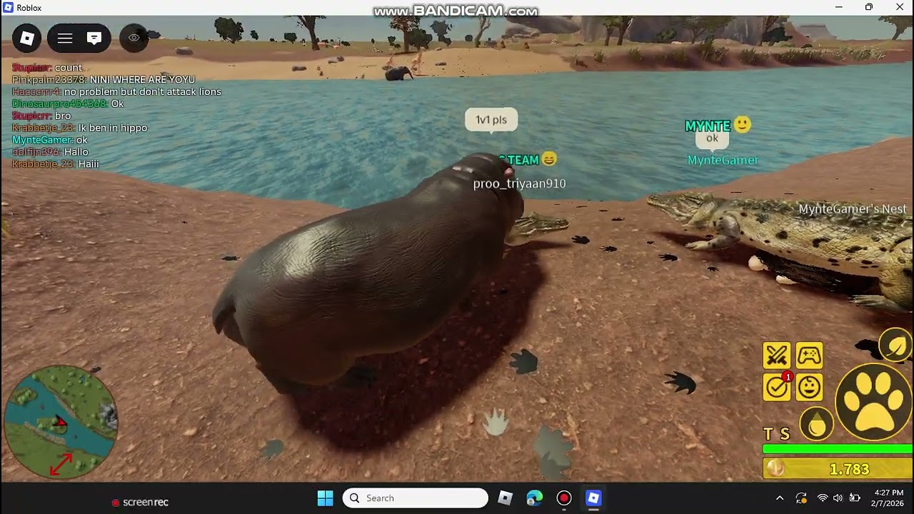 PLAYING AS HIPPO IN Savannah Life