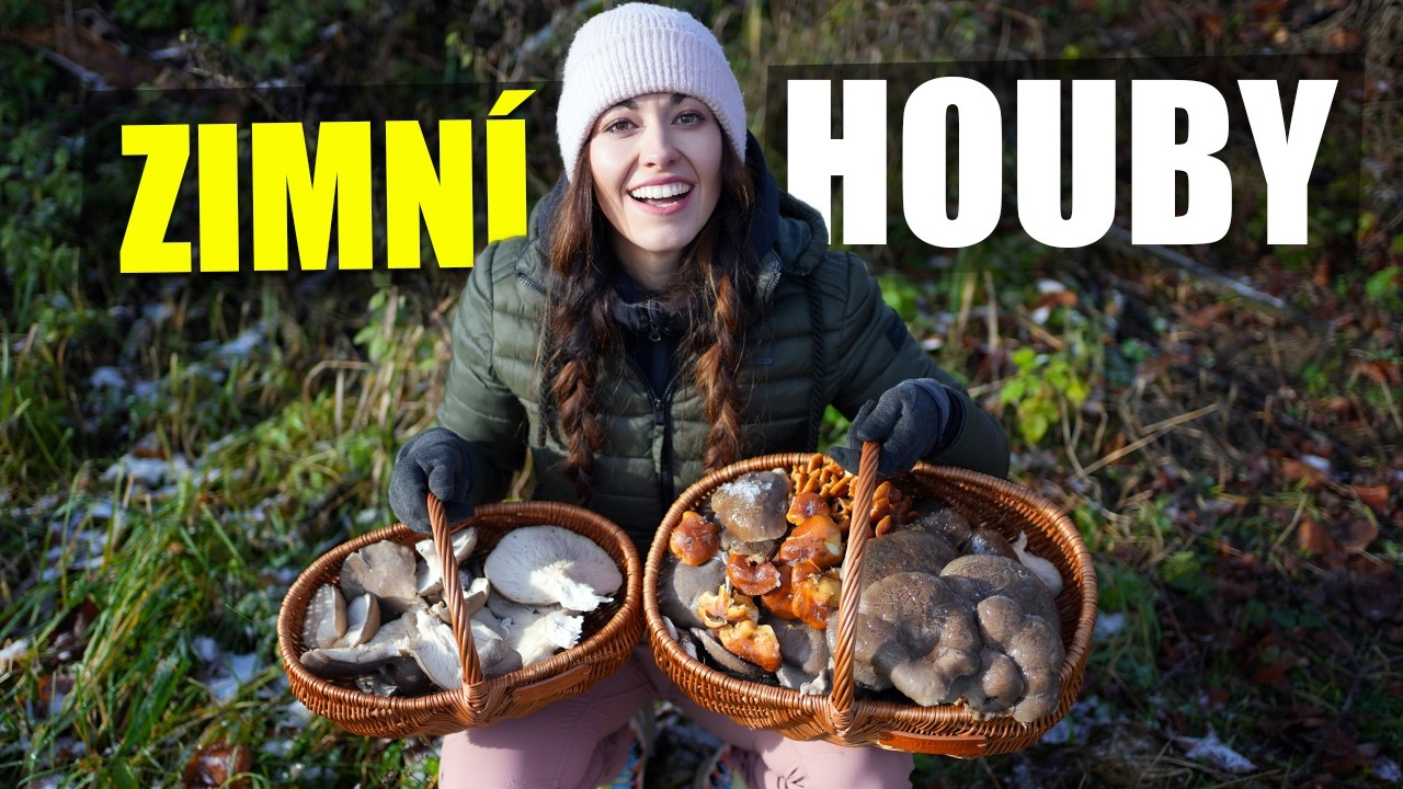 MOJE ZIMNÍ HOUBAŘENÍ (HLÍVA ÚSTŘIČNÁ, PENÍZOVKA SAMETONOHÁ)
