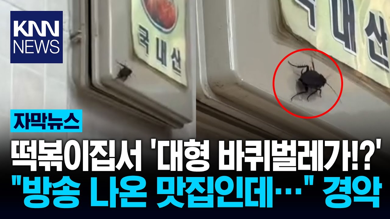 떡볶이 먹던 커플 기겁한 장면 벽면 기어가는 '검은 생명체가'? / KNN