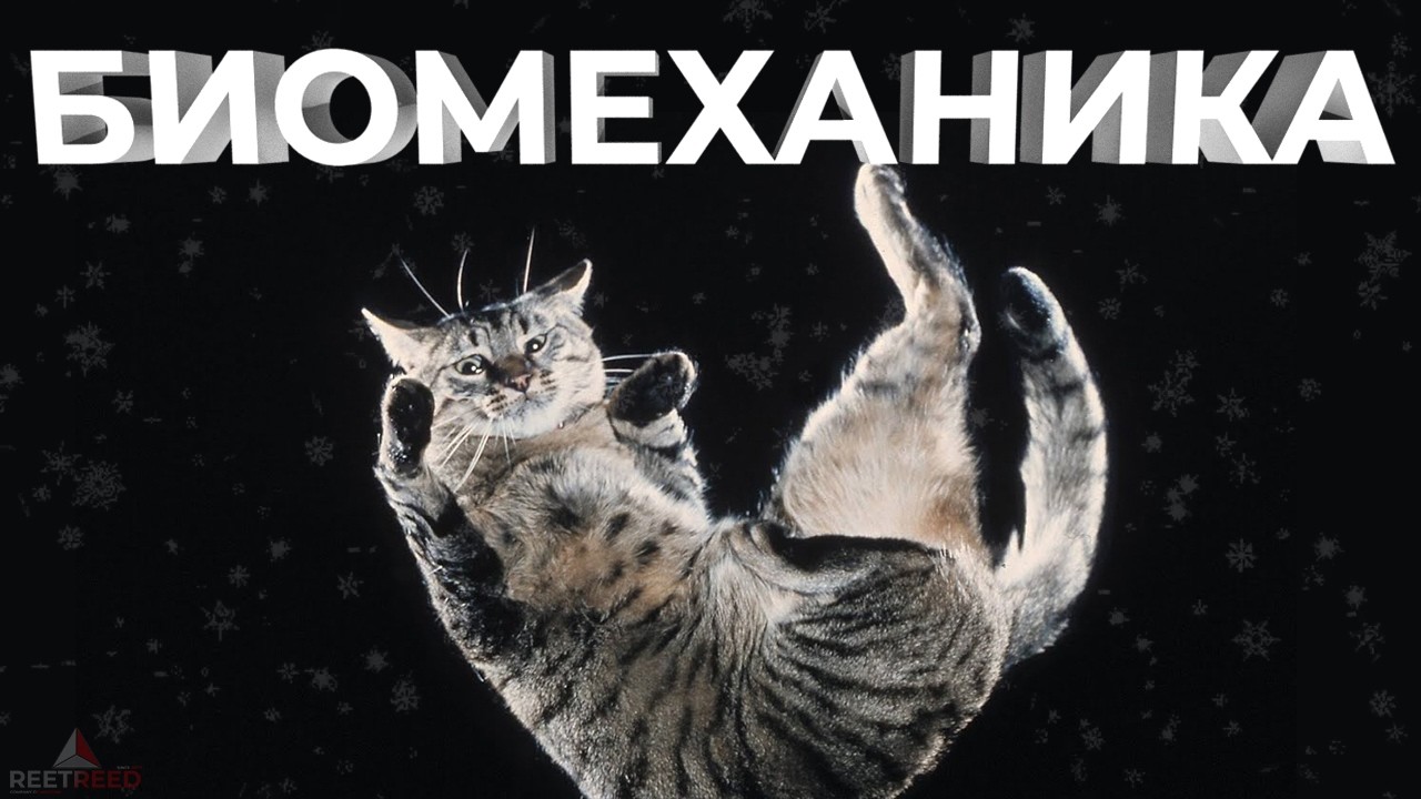 Биомеханика за 9 минут: принцип, который снизит риск перелома.