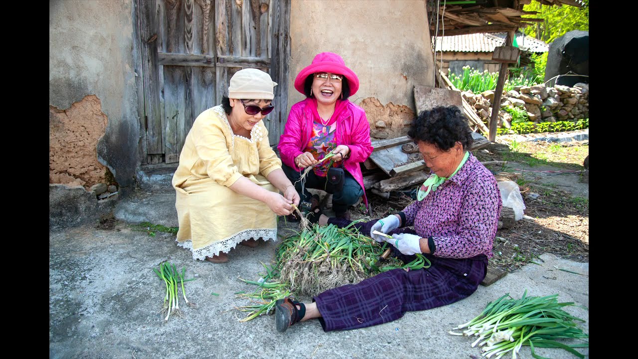 Travel and Street Photography, Korean Farmland and Farmers