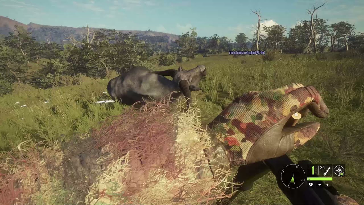 The Hunter Call Of The Wild, Tuto Comment Jouer en Ligne? L'apex Connect ne marche pas en ce moment!