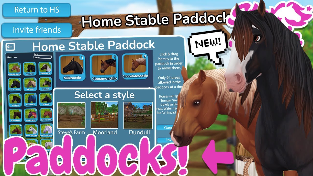 FREE PERSONAL PADDOCK In Your HOME STABLE! 😍 Star Stable Online