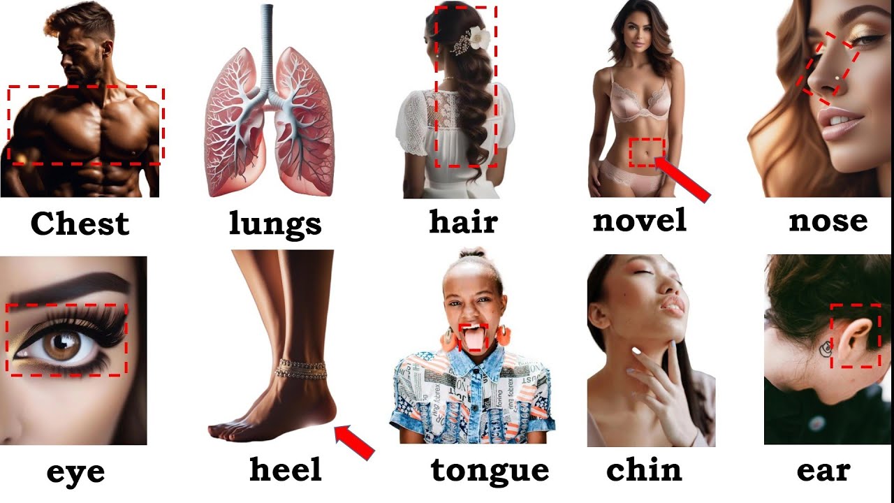 Body Parts Vocabulary| Parts of Body in English + Self -Test