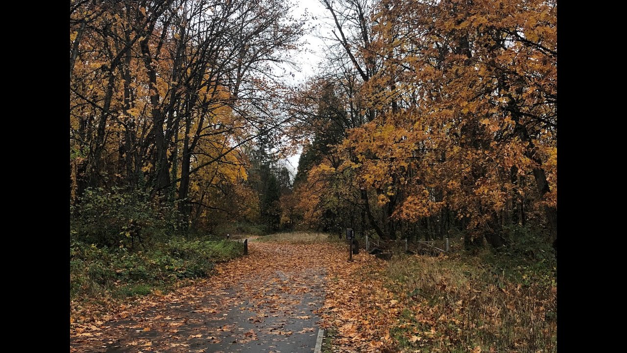 40 Years of Plant Walks in Alton Baker Park