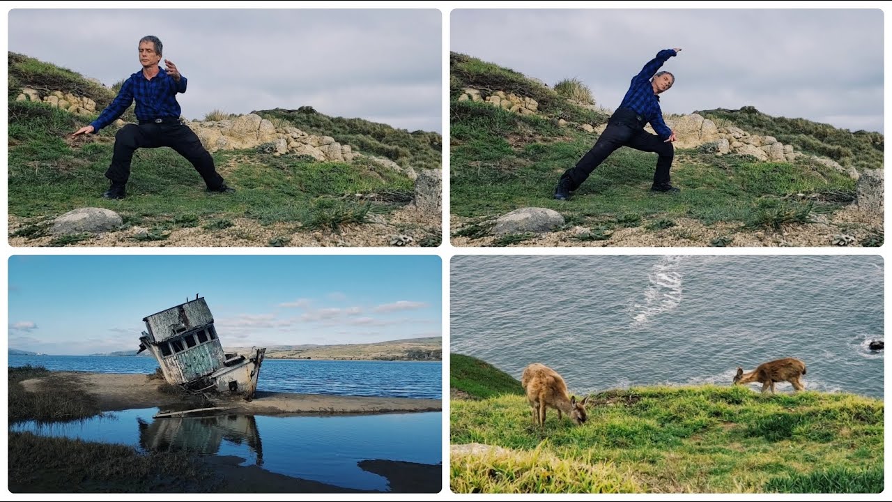 Tai Chi Qigong flow.
