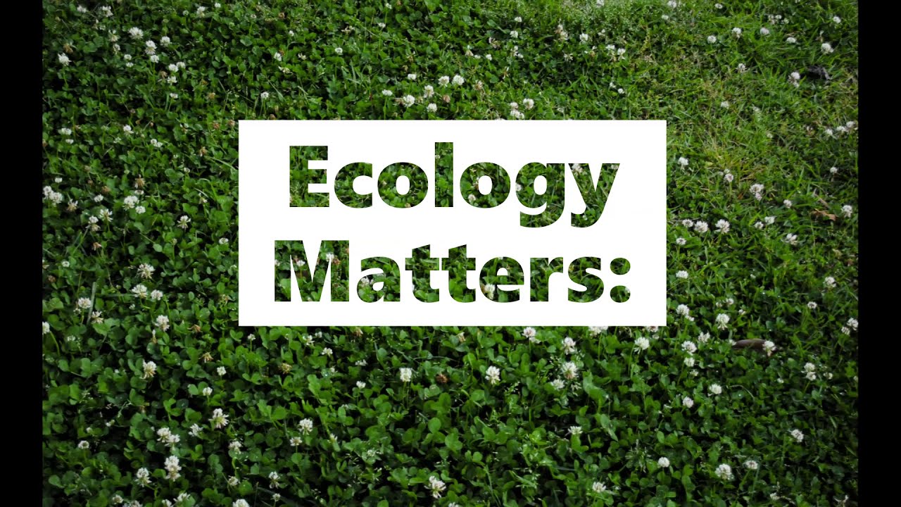 Eco-Minded