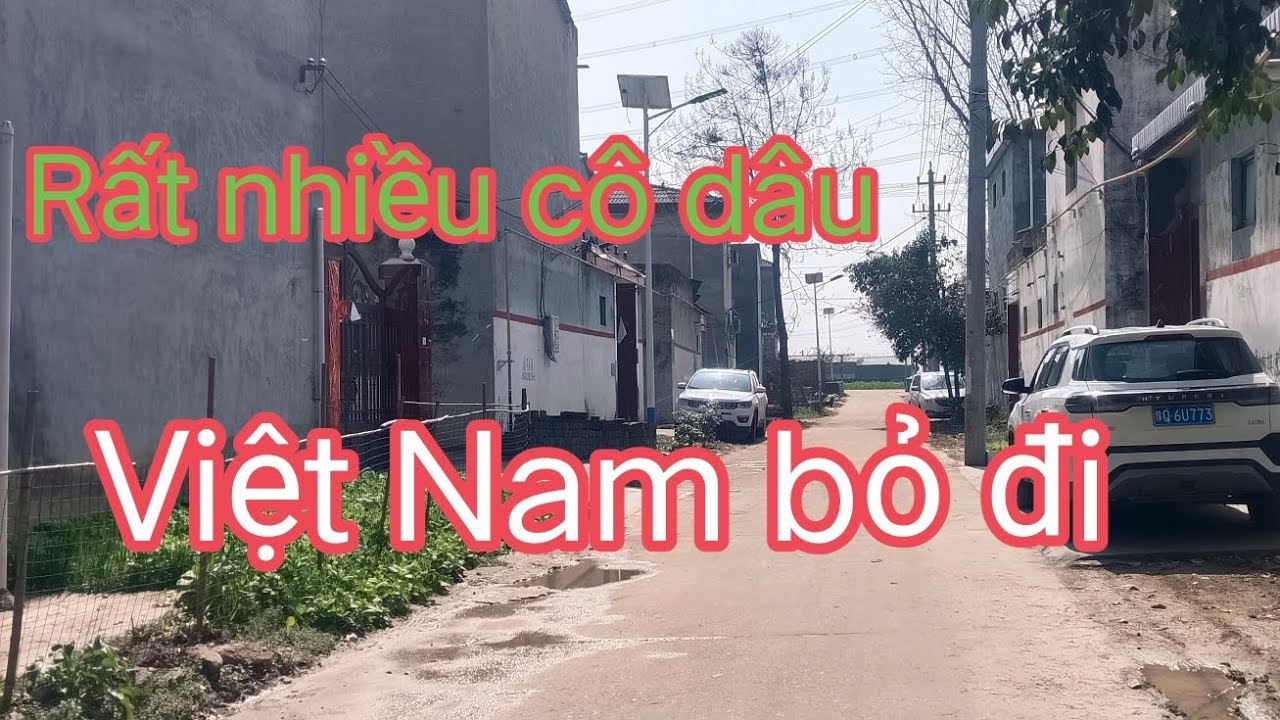 Gần nhà rất nhiều cô Việt Nam bỏ đi