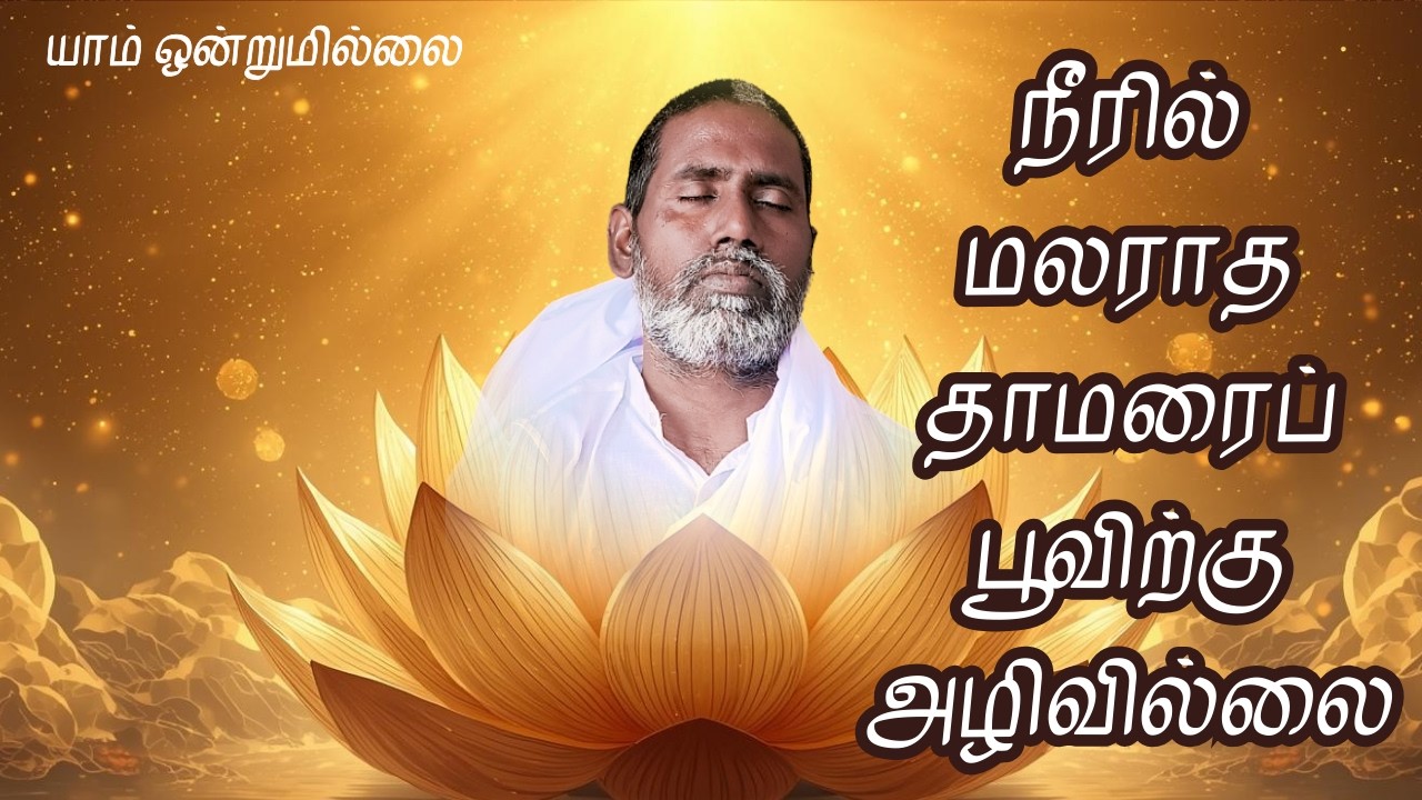 நீரில் மலராத தாமரைப் பூவிற்கு அழிவில்லை | யாம் ஒன்றுமில்லை | வெட்டவெளி இருப்பிடம்