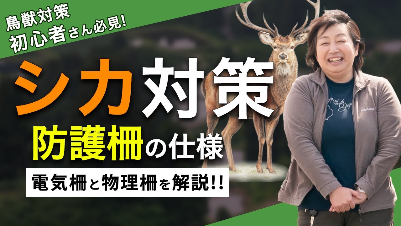 【鹿 対策】シカ被害の対策に有効な柵の張り方！電気柵と物理柵の仕様を解説！