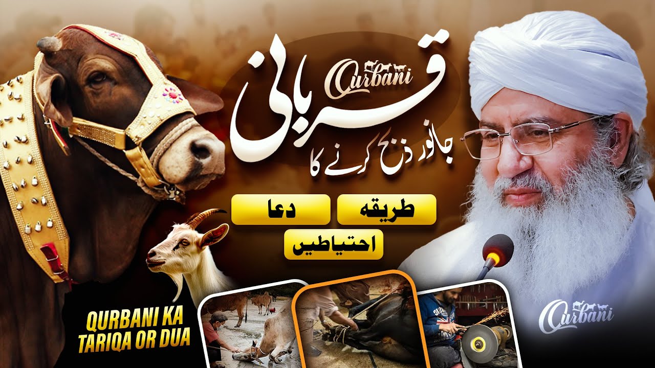 Qurbani Ka Tariqa Or Dua | Janwar Zabha Karne Ki Ehtiyatein | Qurbani Special 2025