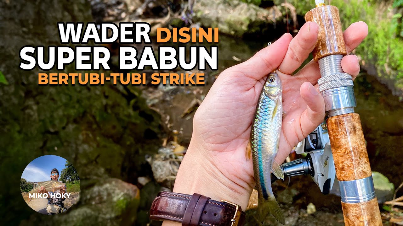Pecinta Micro Casting Wajib Coba Sensasi Casting Wader Pari Jumbo Pakai Umpan Ini Gacor Banget