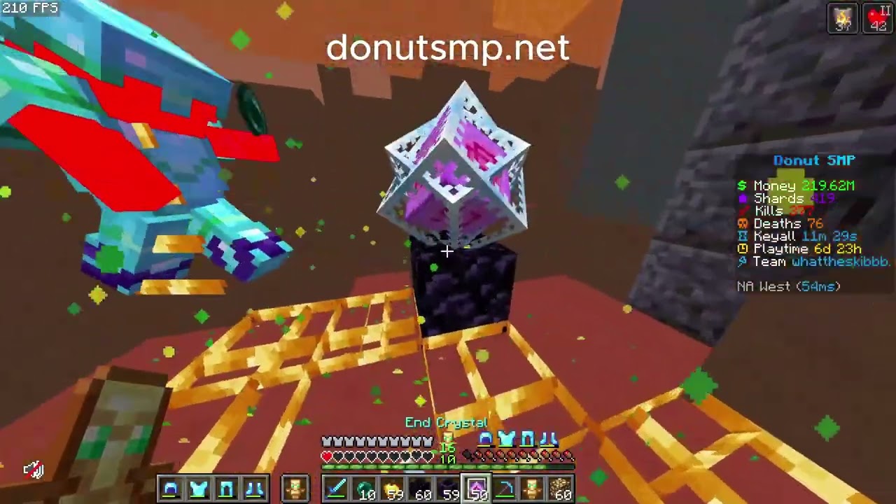 Donutsmp kills and prac kills