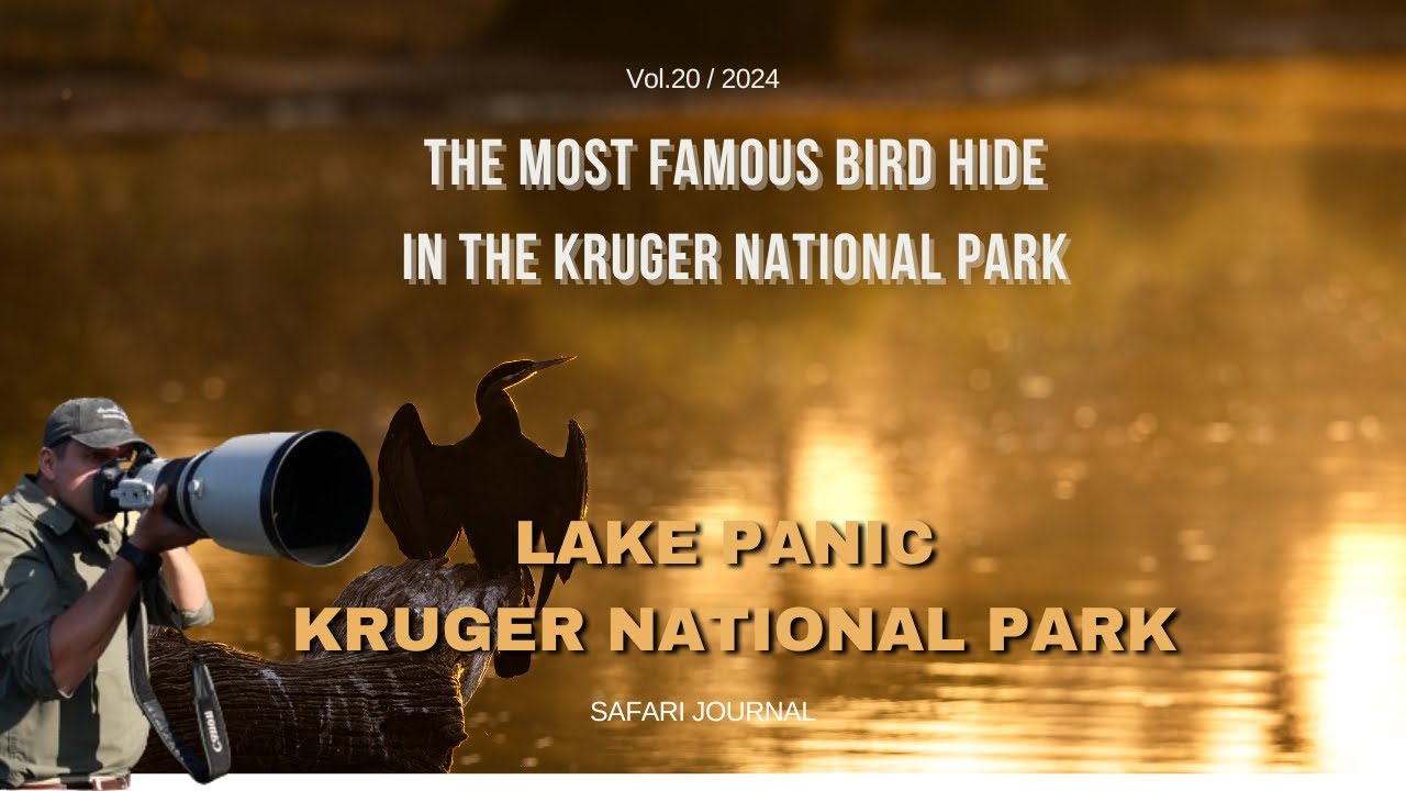 Lake Panic | The best bird hide in the Kruger National Park? | South Africa