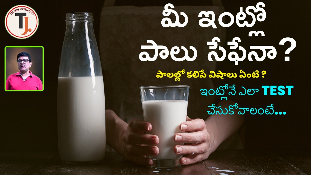 మీ ఇంట్లో పాలు SAFEనా? | కల్తీ పాలను ఎలా గుర్తించాలంటే... ?| #telugu journalist  #vishnukumar