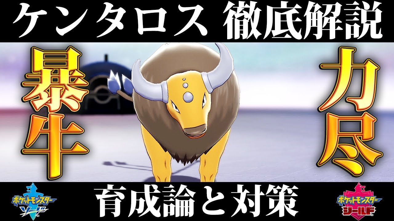 【ポケモン剣盾】ケンタロスの育成論と対策、入手方法まとめ！性格や技構成を元プロゲーマーが徹底解説！【鎧の孤島】
