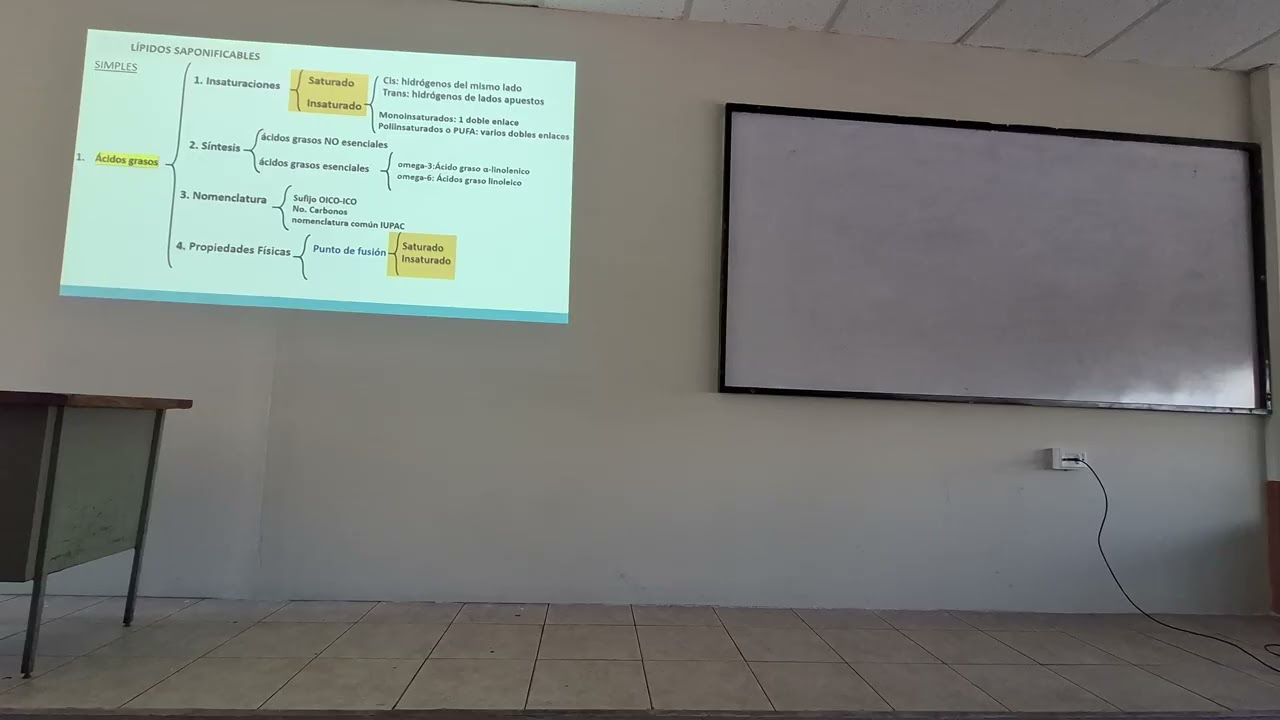 Lipidos 3