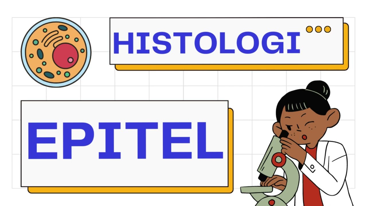 Histologi Jaringan Epitel | Histology 101