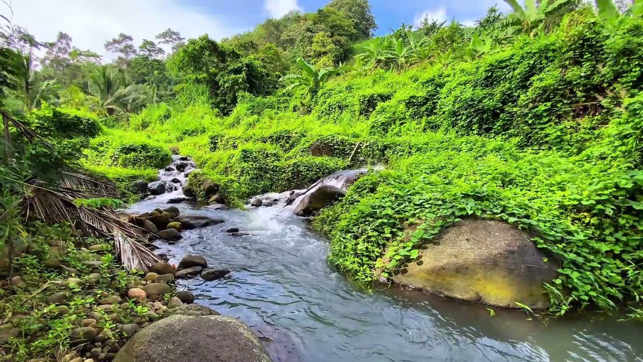 🌿 Release Tension 💧 Quiet River Sounds Through Green Jungle For Peaceful Sleep | 4K