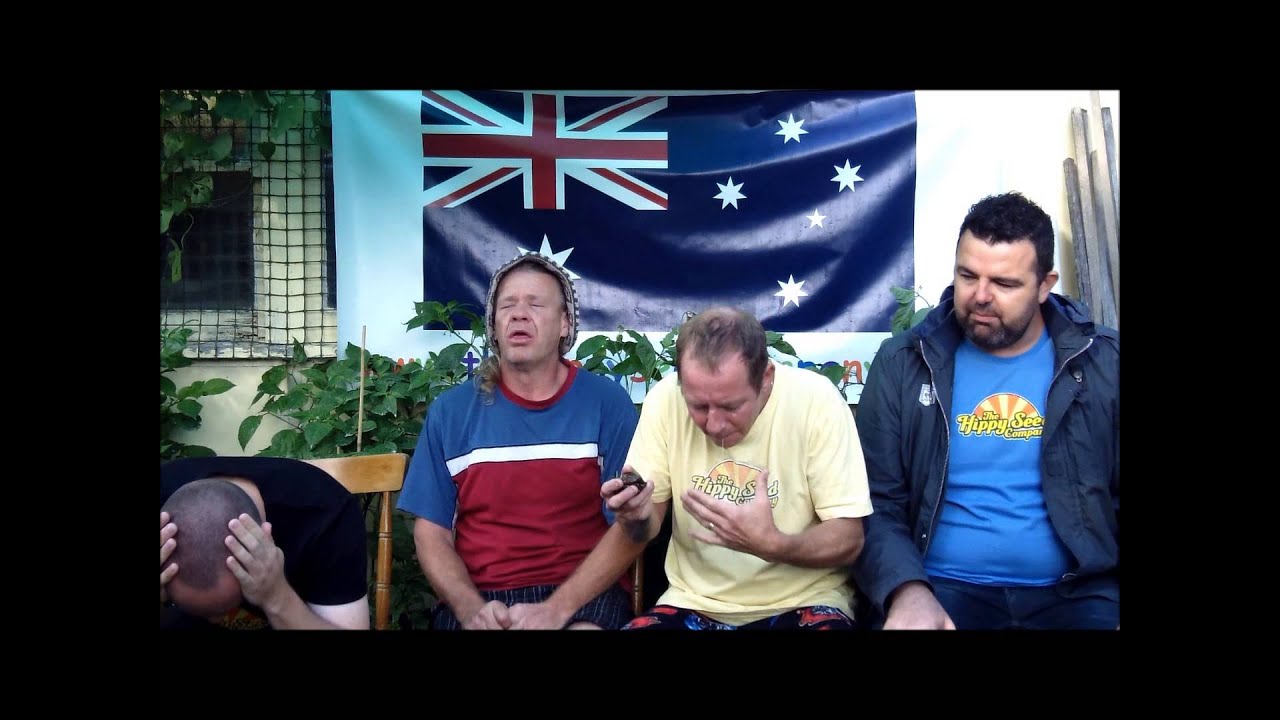 THSC Chocolate Trinidad Scorpion     Chilli Test